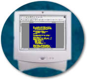 computer screen with yellow text on a blue background