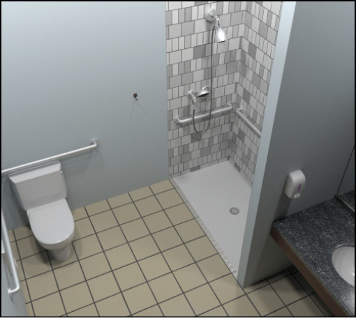 Bathroom with roll-in shower, water closet, and lavatory