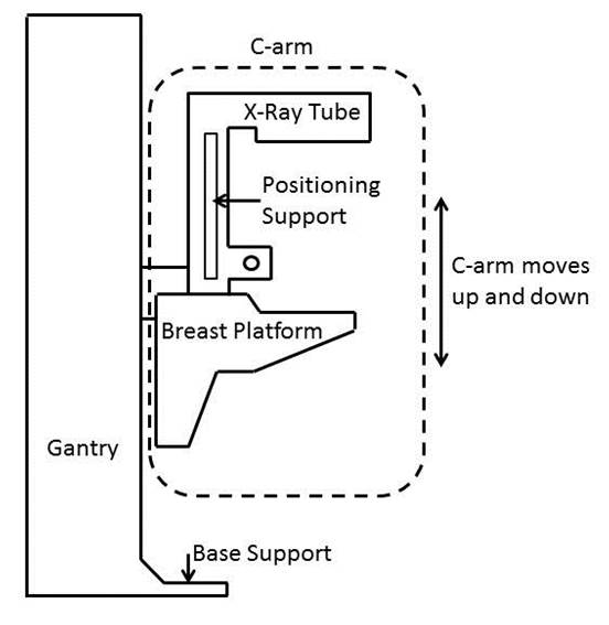 Diagram of mammography equipments with the components identified.  The identified components are the c-arm, x-ray tube, positioning support, breast platform, gantry and the base support.  Diagram also shows double point arrow demonstrating that the c-arm moves up and down.