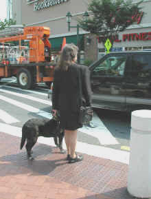 Figure 6. Crosswalk not aligned with approach