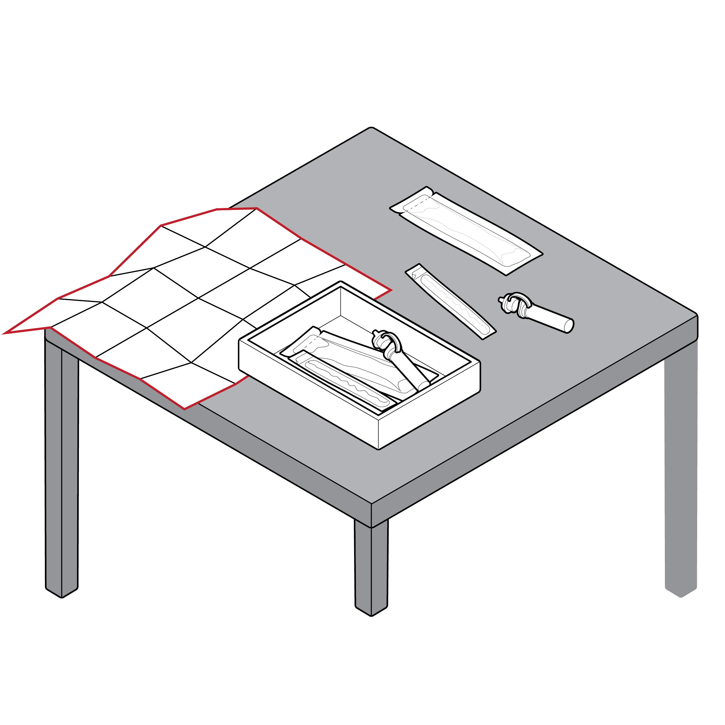 MA test kit and fully unfolded set of instructions lie on a tabletop. The instructions extend off the edge of the table.